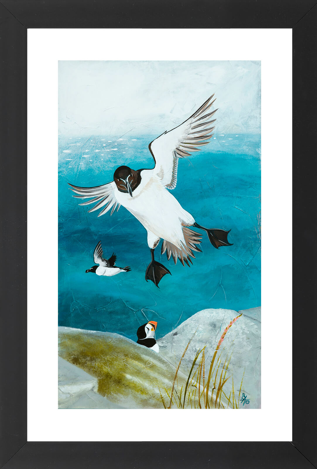 'Razorbill Return' Limited Edition Giclée Art Print