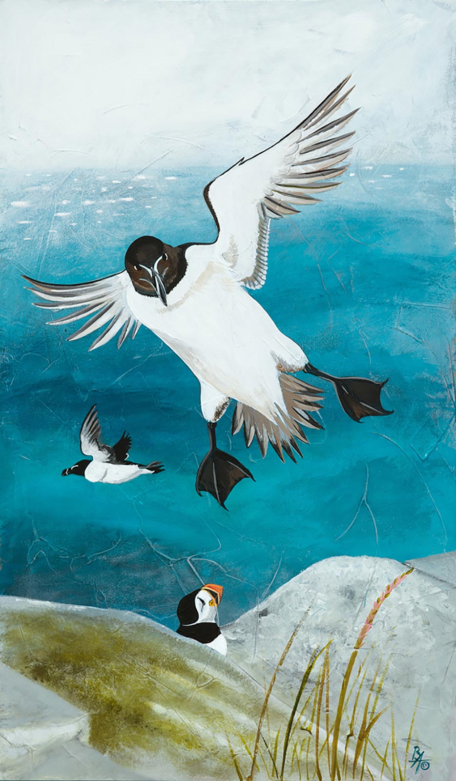 'Razorbill Return' Limited Edition Giclée Art Print