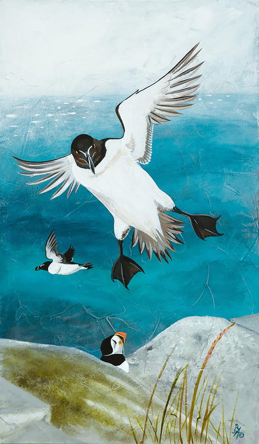 'Razorbill Return' Limited Edition Giclée Art Print