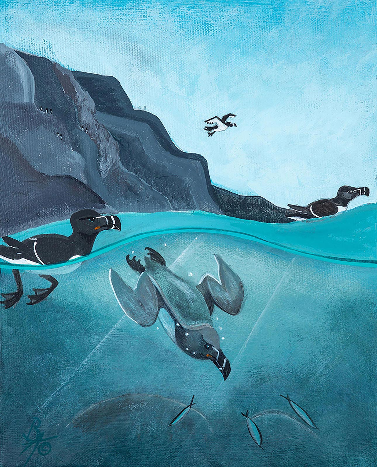 'Morning Dip' Greeting Cards (Pack of 12)